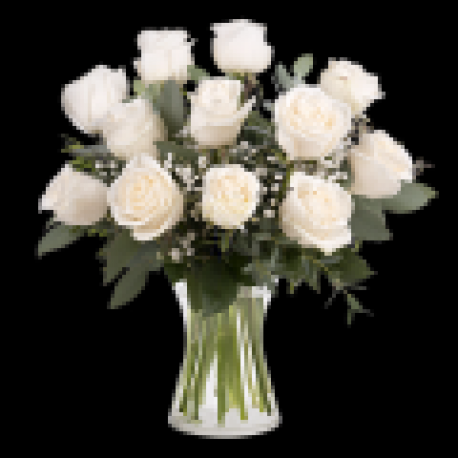 12 x white roses in a vase